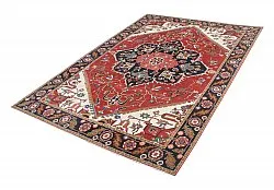 Dywan Orientalny - Hariz Hand Knotted - 241 x 313 cm