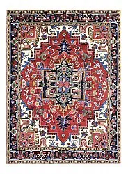 Dywan Orientalny - Hariz Hand Knotted - 309 x 432 cm
