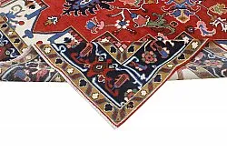 Dywan Orientalny - Hariz Hand Knotted - 309 x 432 cm