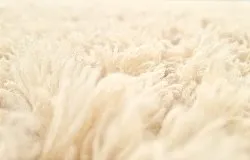 Dywan wełniany - Aliste Wool Shaggy (alabaster gleam)