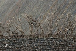 Dywany z włókien konopnych - Natural (szary)