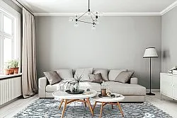 Shaggy Indoor-Outdoor - Trenton (biały/niebieski)