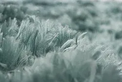 Dywany shaggy - Janjira (turkus)