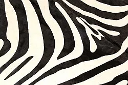 Zebraskinn 11