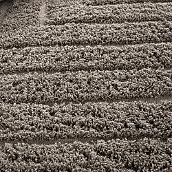 Dywany shaggy - Conara Natural Cotton Shaggy (kolor ciemnoszary)