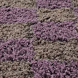 Okrągły dywan - Elsey Natural Cotton Shaggy (brązowy/fioletowy)