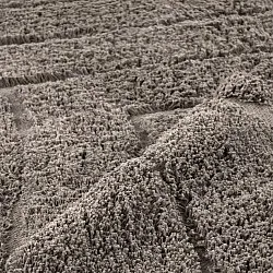 Dywany shaggy - Farley Natural Cotton Shaggy (kolor ciemnoszary)
