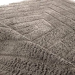 Dywany shaggy - Farley Natural Cotton Shaggy (kolor ciemnoszary)
