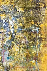 Dywan Wilton - Catania (multi)