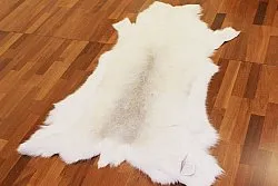 Skóra renifera - XXL # 54