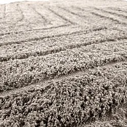 Okrągły dywan - Conara Natural Cotton Shaggy (kolor ciemnoszary)