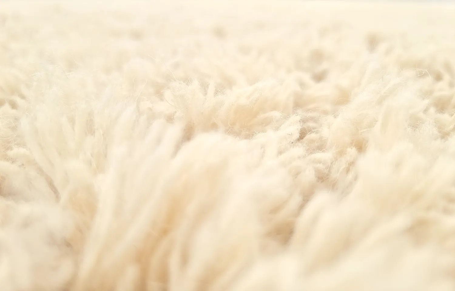 Dywan wełniany - Aliste Wool Shaggy (alabaster gleam)