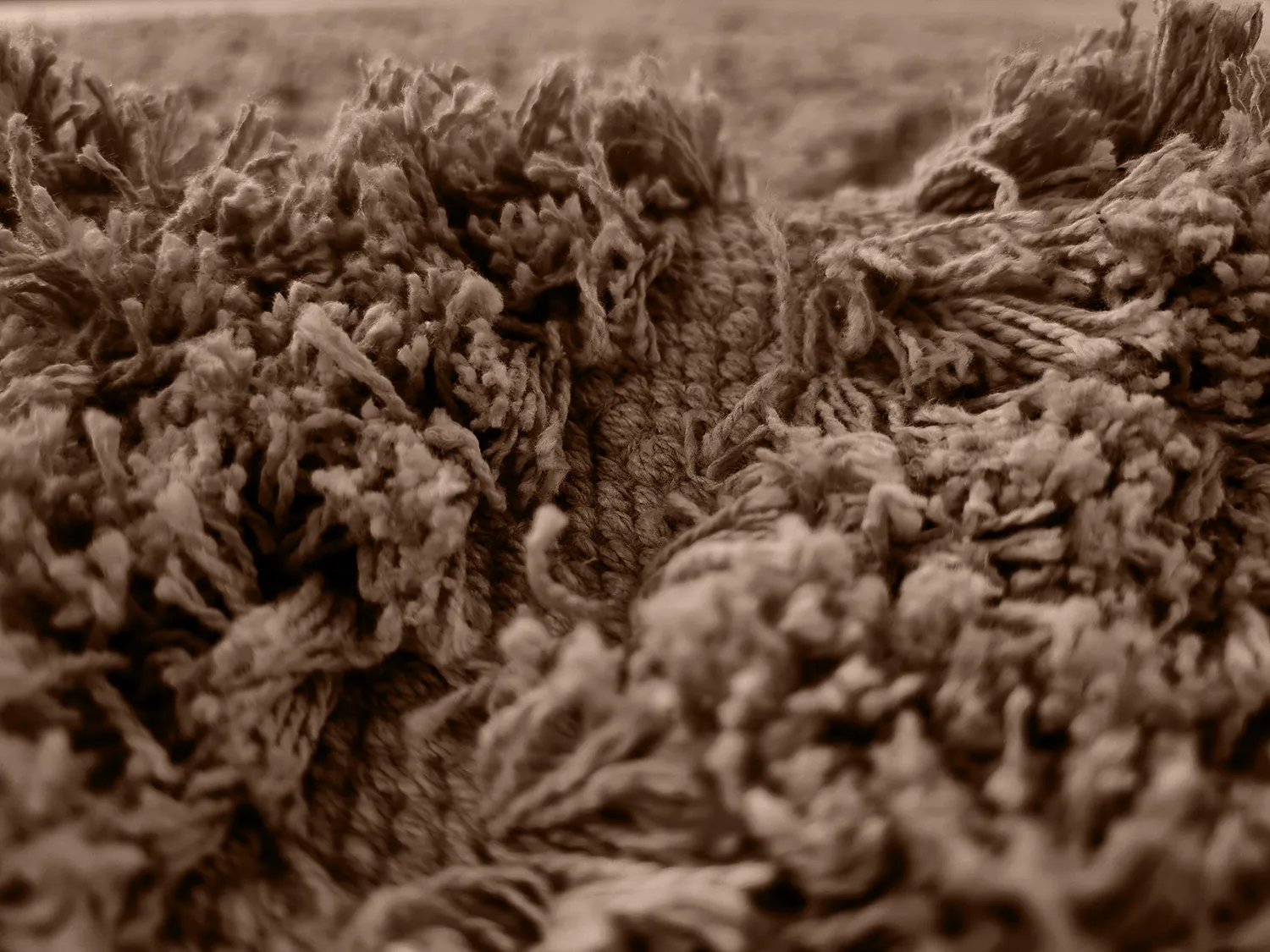Dywany shaggy - Kendra Natural Cotton Shaggy (brązowy)