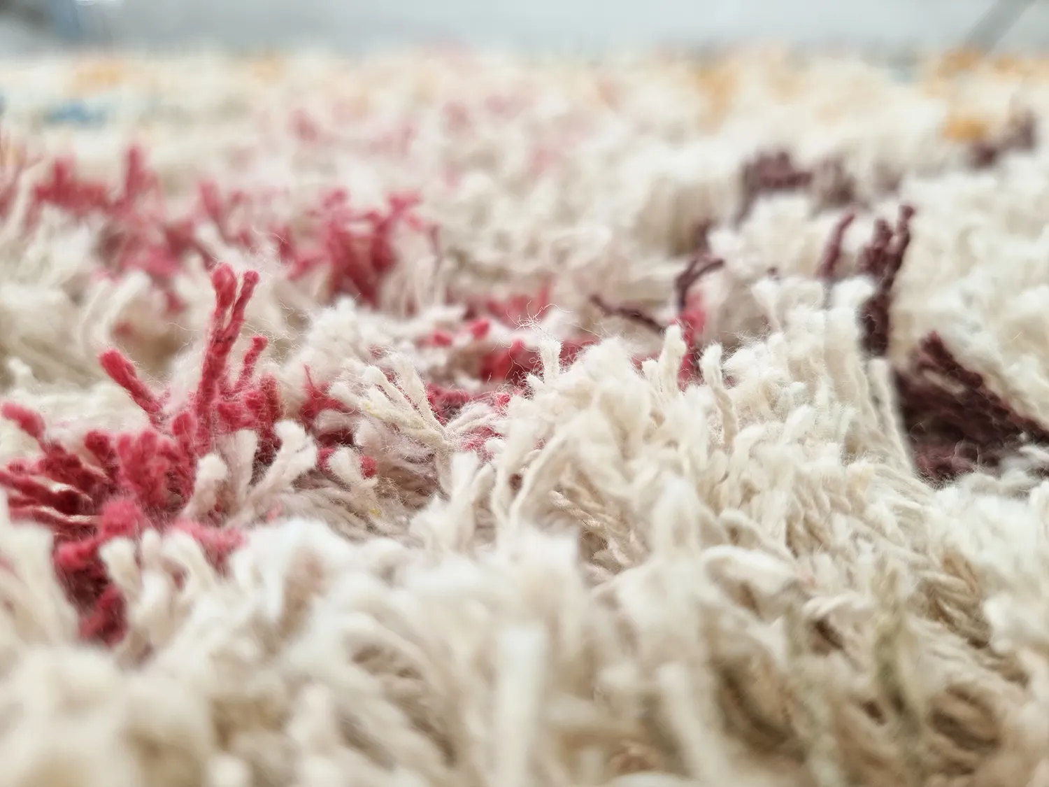 Dywany shaggy - Maloney Natural Cotton Shaggy (multi)