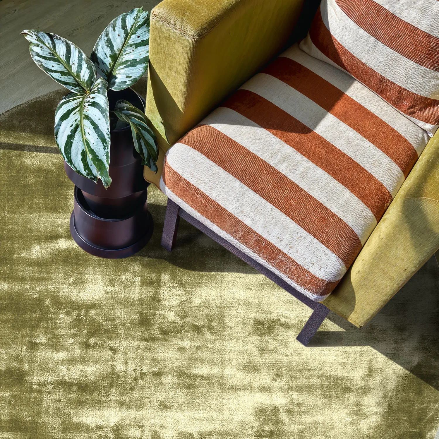 Okrągły dywan - Jodhpur Special Luxury Edition (oliwkowy)